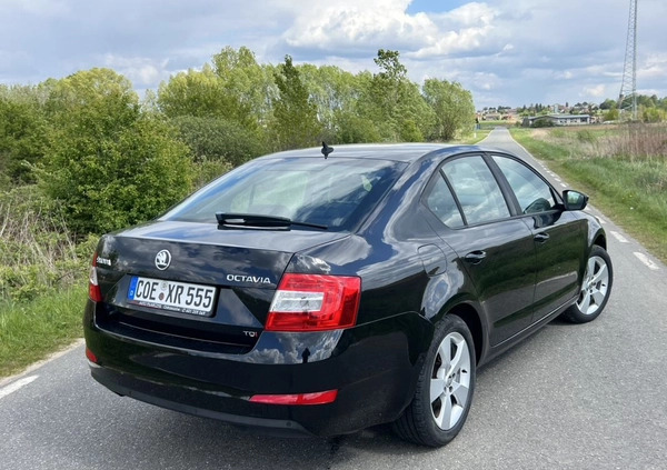 Skoda Octavia cena 42500 przebieg: 187000, rok produkcji 2013 z Dobczyce małe 436